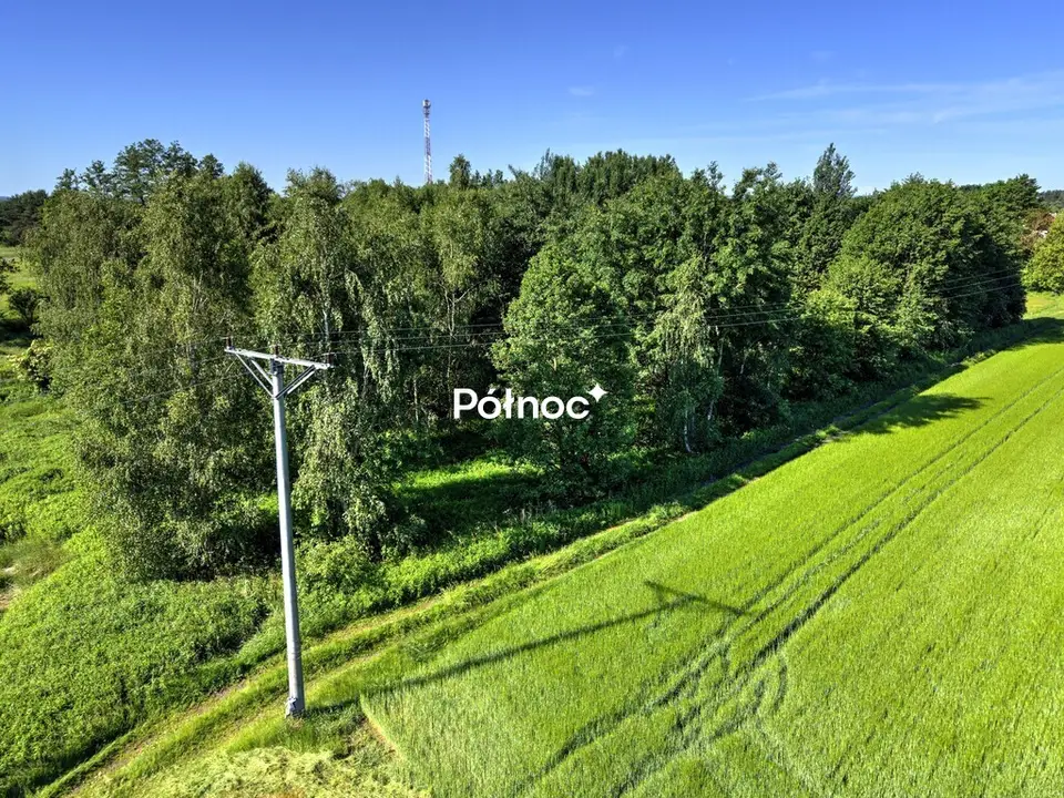 Zdjęcie 6