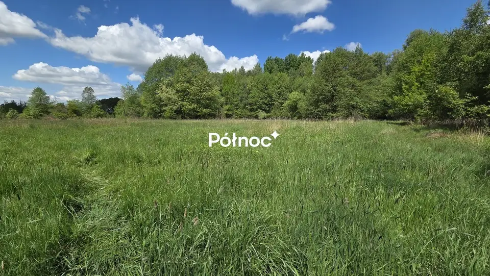 Zdjęcie 8