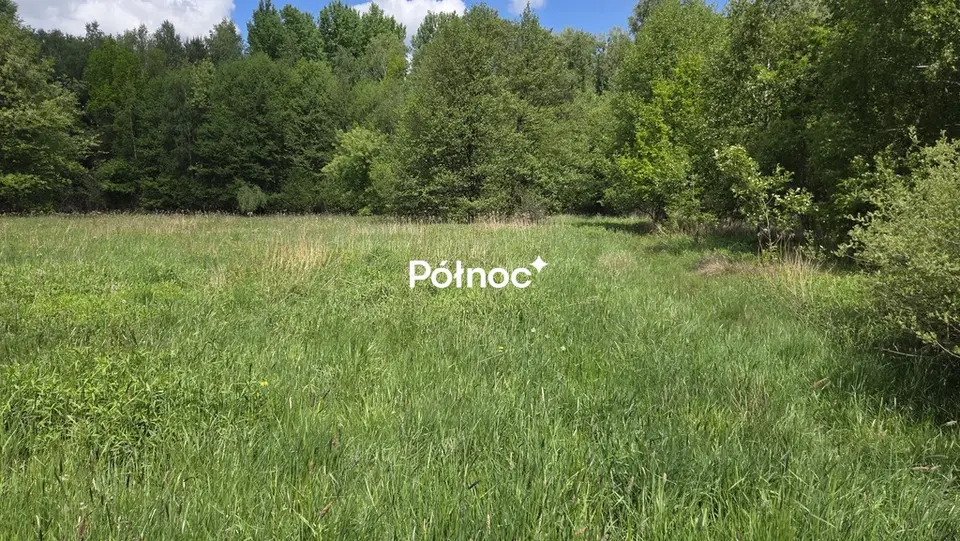 Zdjęcie 9