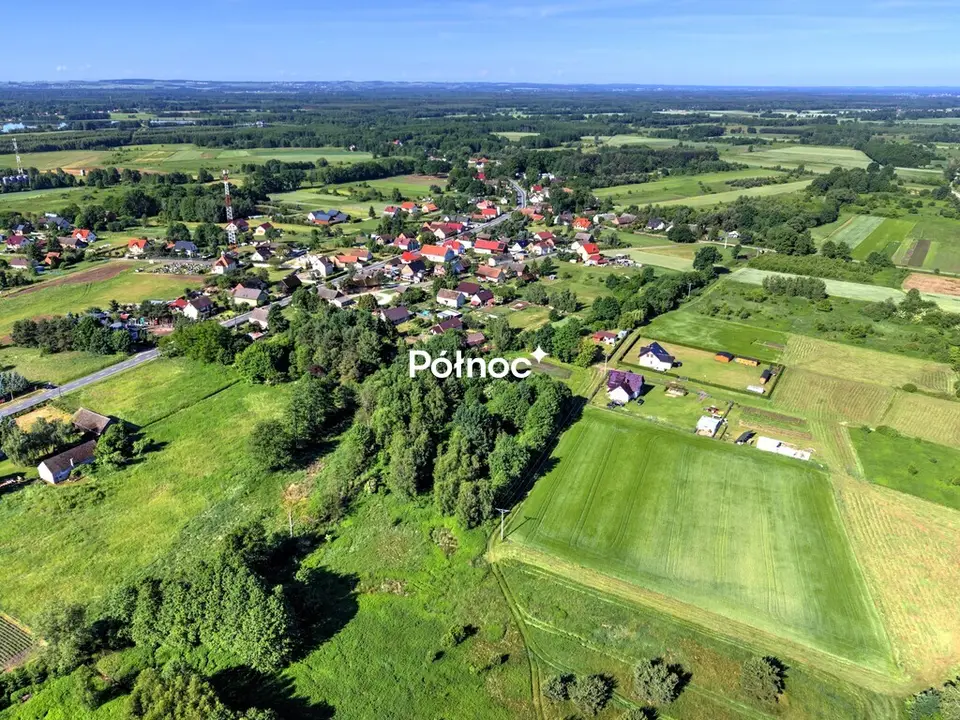 Zdjęcie 10