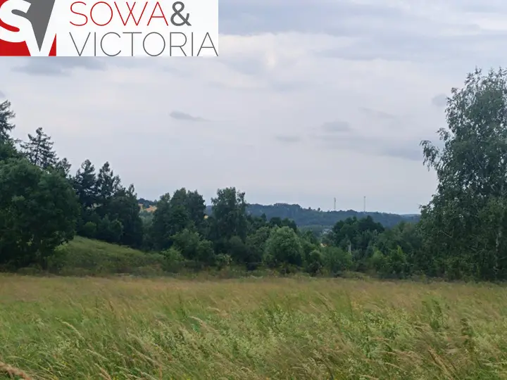Zdjęcie 2