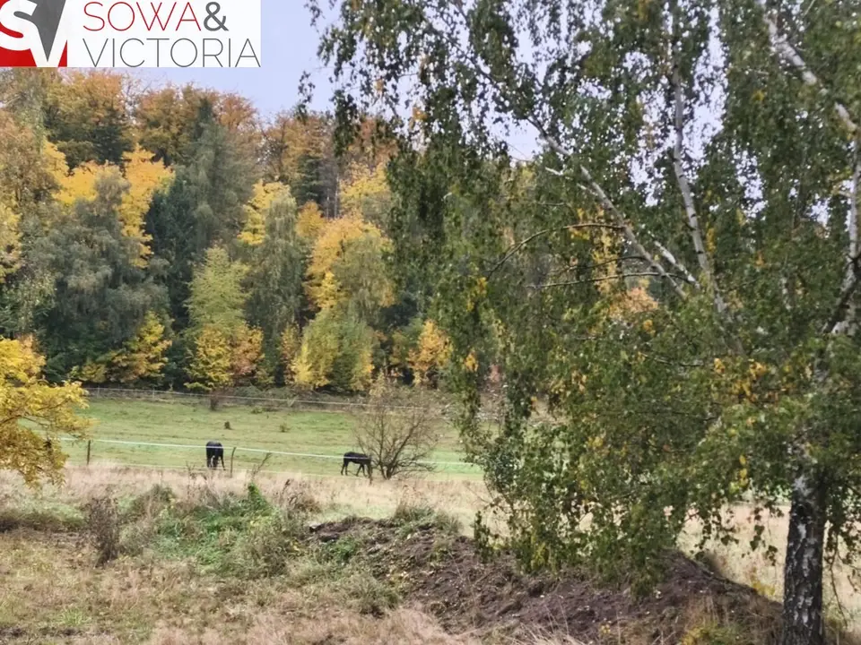 Zdjęcie 6