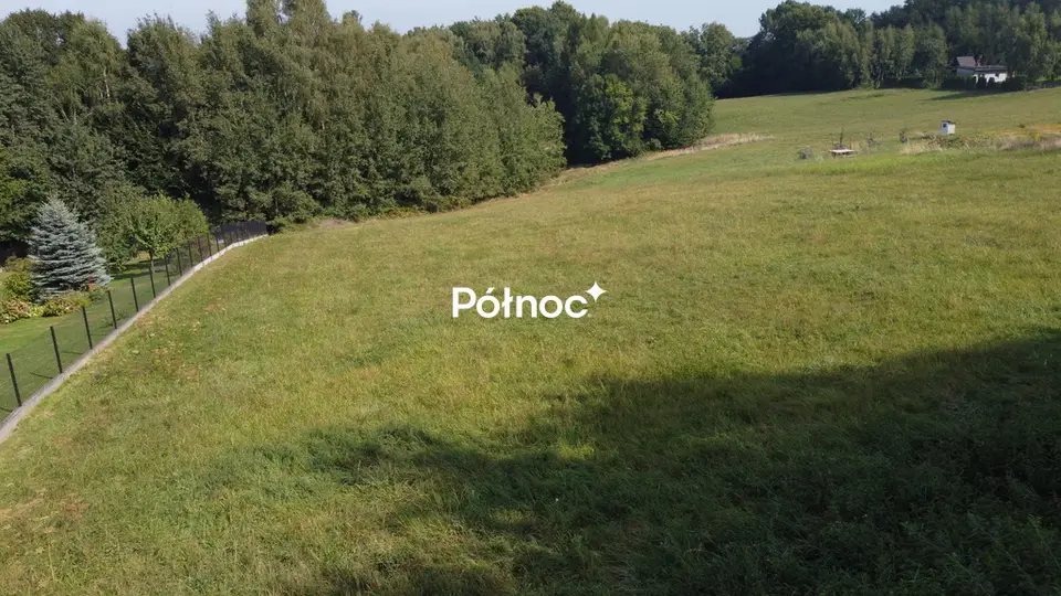 Zdjęcie 7