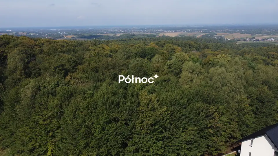 Zdjęcie 9
