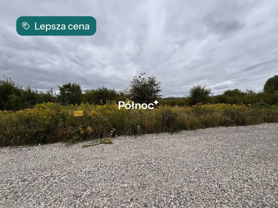 Zdjęcie 6