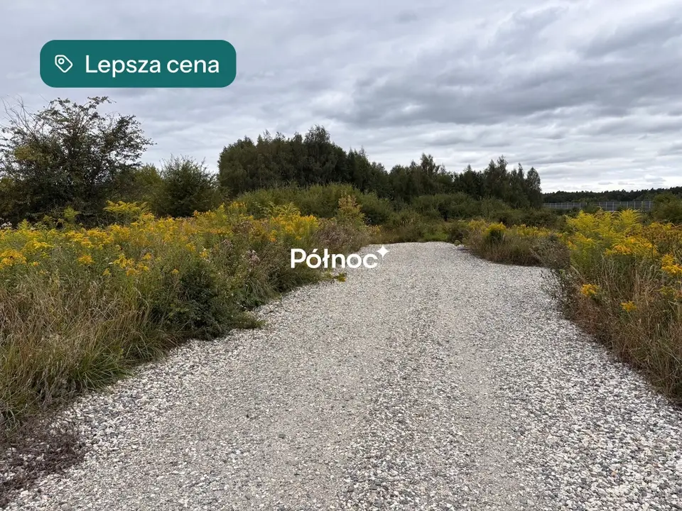 Zdjęcie 7
