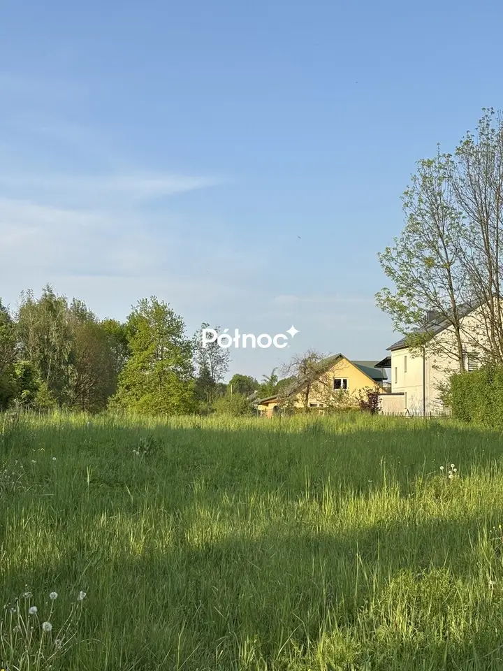 Zdjęcie 3