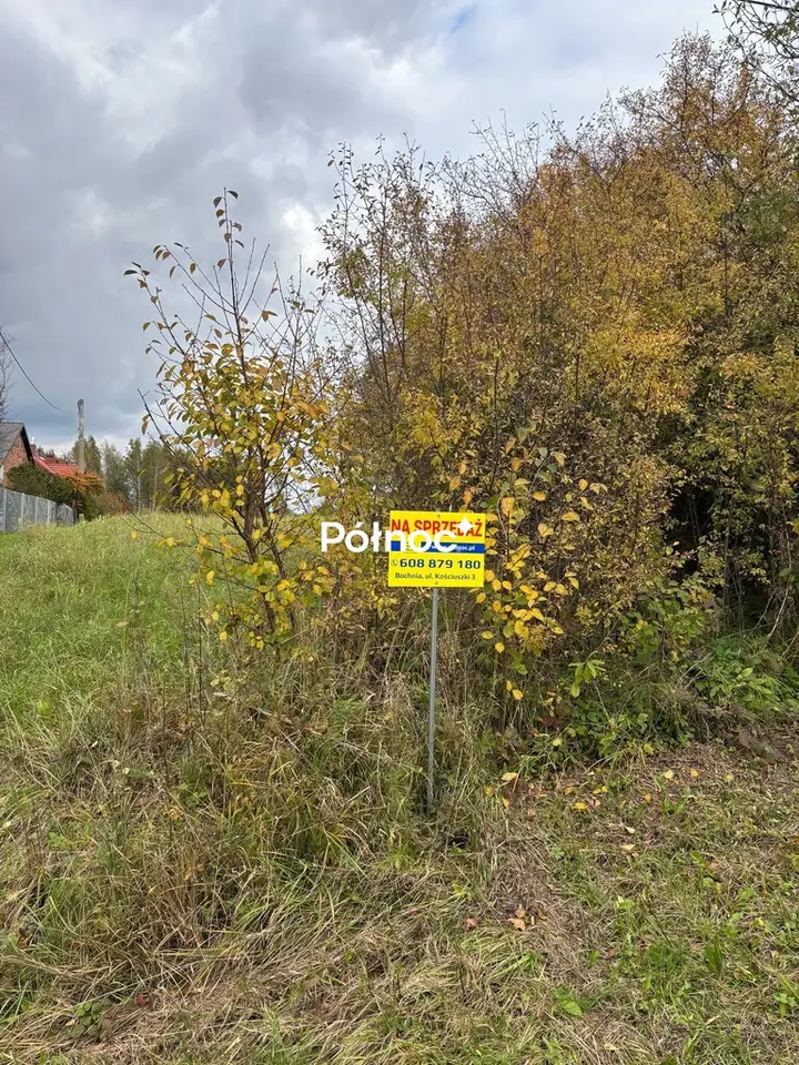 Zdjęcie 5