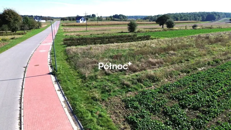 Zdjęcie 6