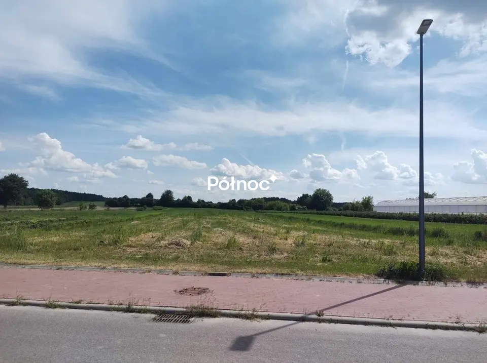 Zdjęcie 8