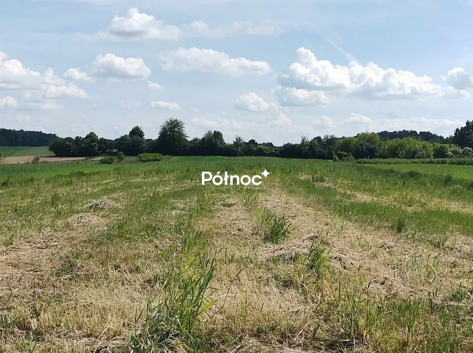 Zdjęcie 9