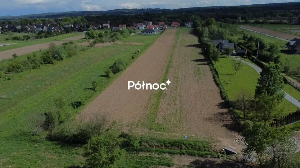 Zdjęcie 5