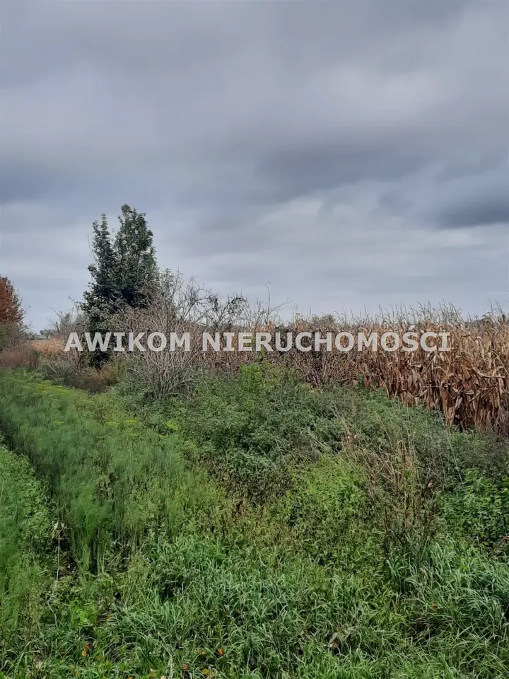 Działka budowlana i siedliskowa 3 001 m², Zazdrość
