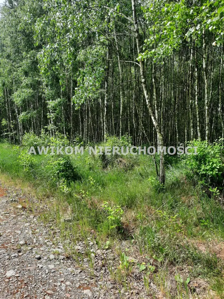 Działka leśna 1,11 ha, Wycześniak