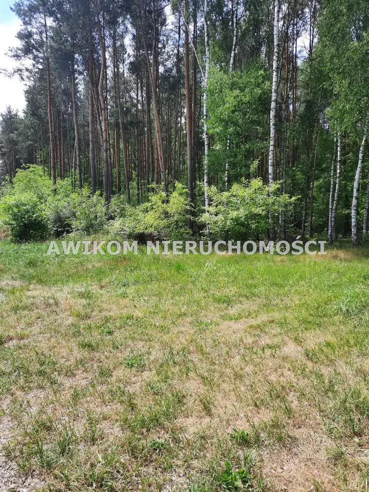 Zdjęcie 13