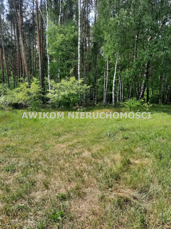 Zdjęcie 14