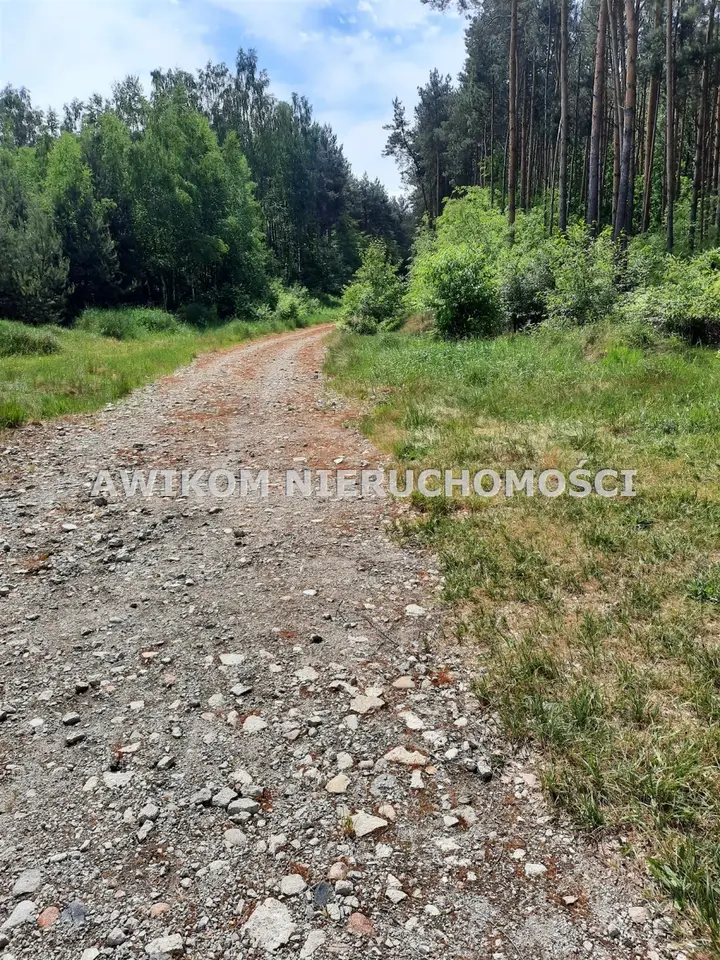 Zdjęcie 16