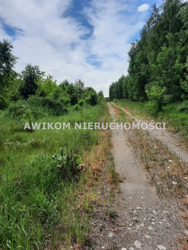 Zdjęcie 20