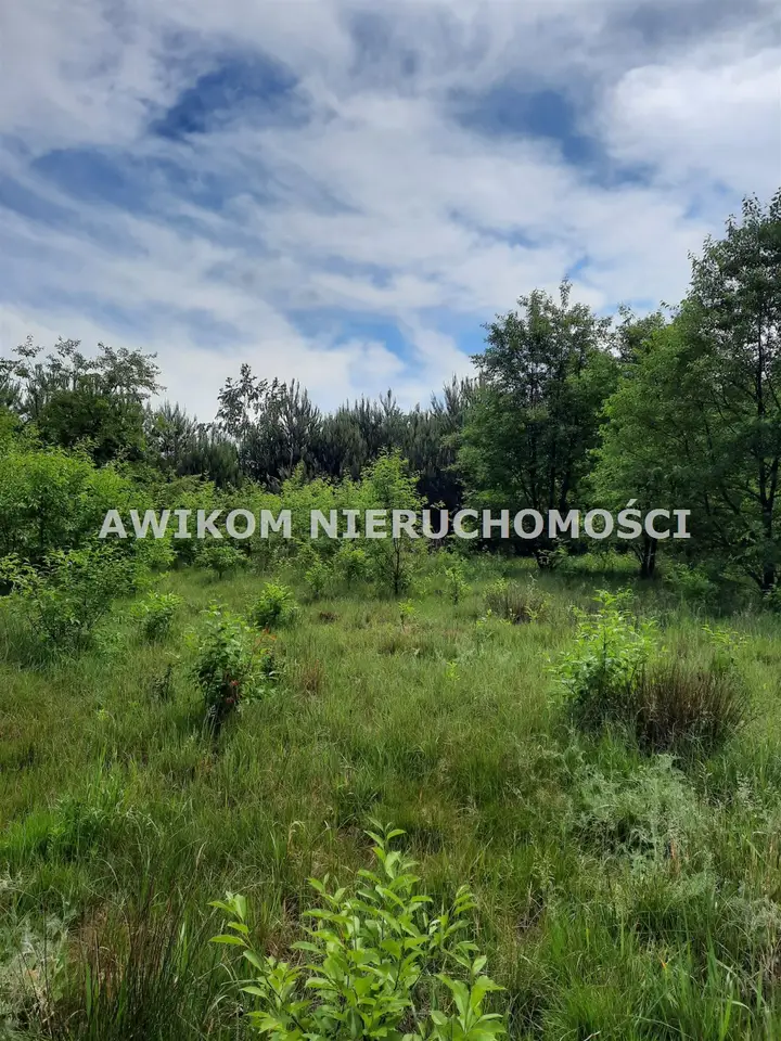 Zdjęcie 23