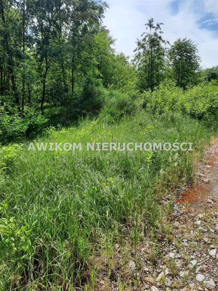 Zdjęcie 26