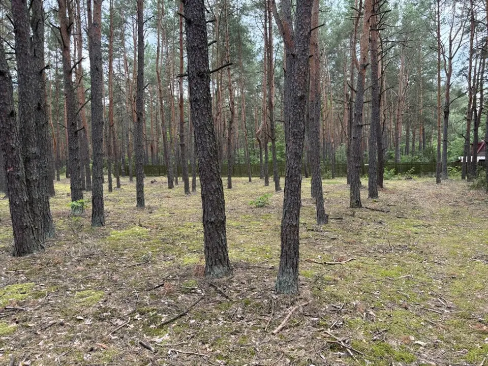 Zdjęcie 3