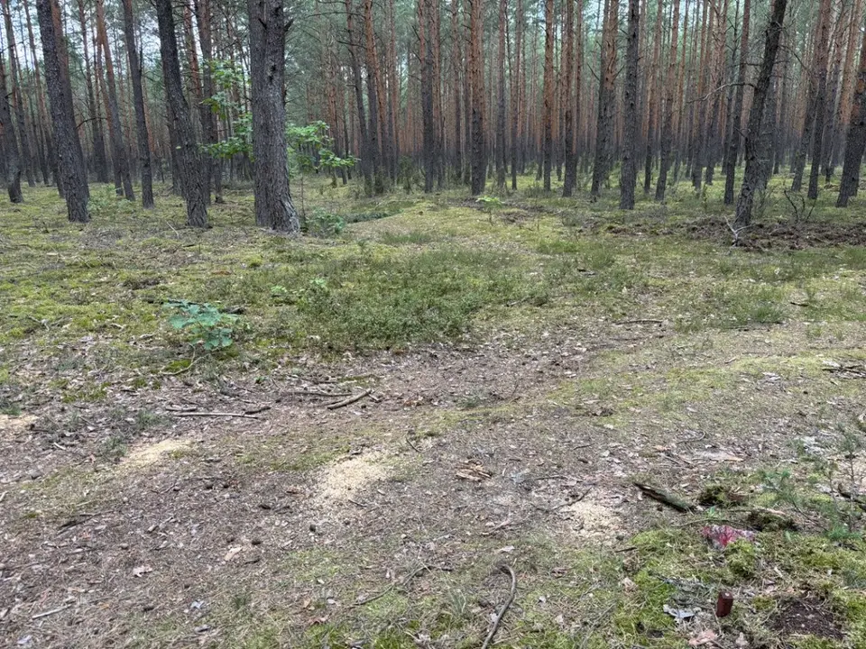 Zdjęcie 4