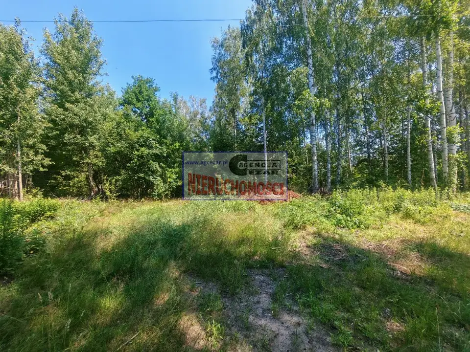 Zdjęcie 3