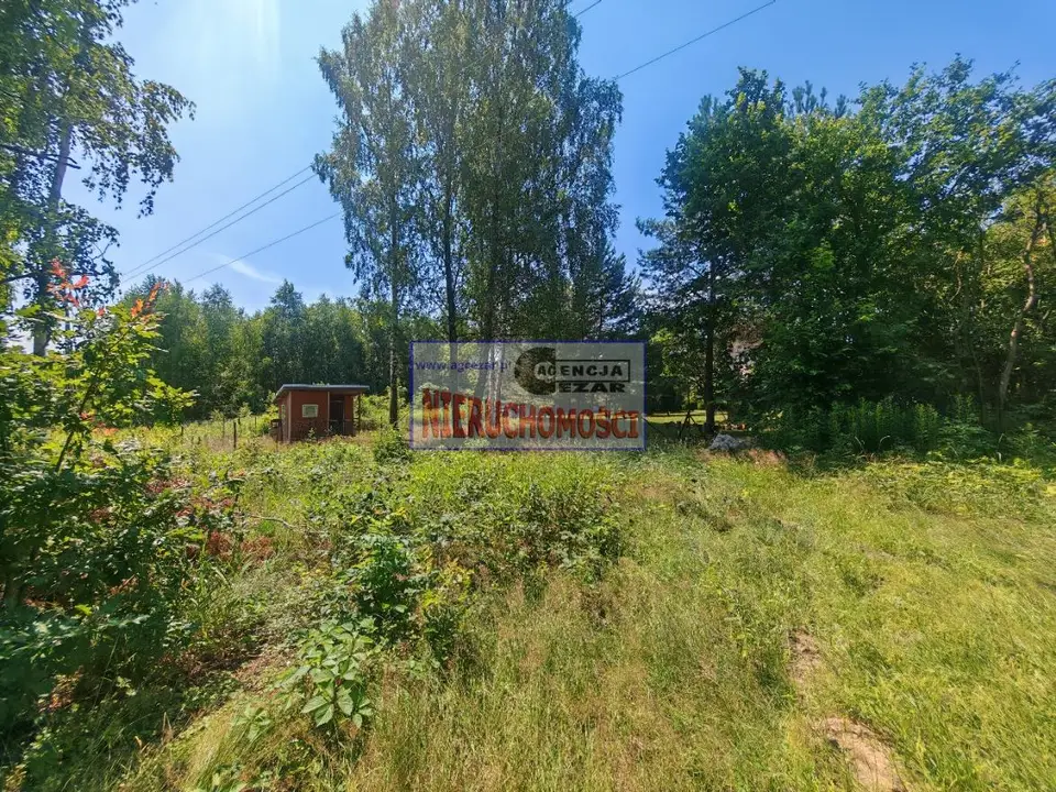 Zdjęcie 4