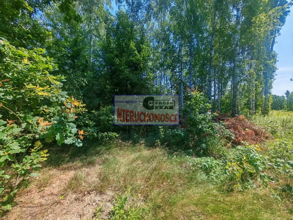 Zdjęcie 5