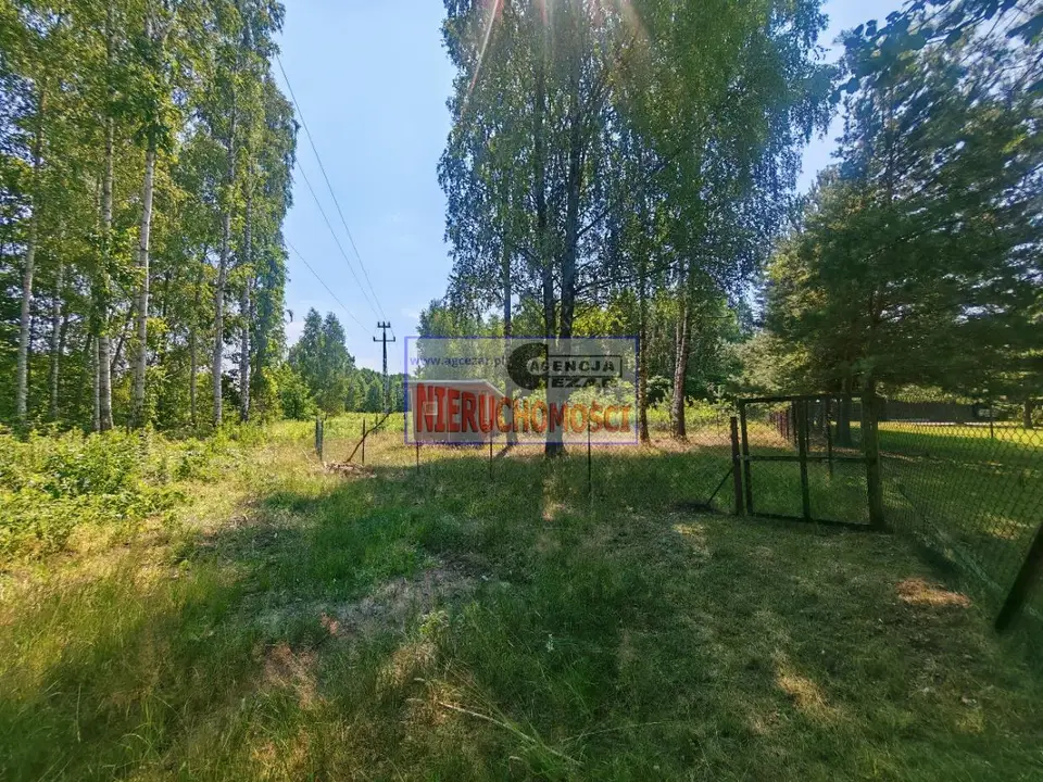 Zdjęcie 6