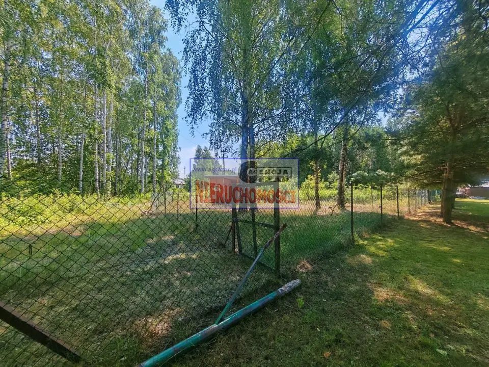 Zdjęcie 7