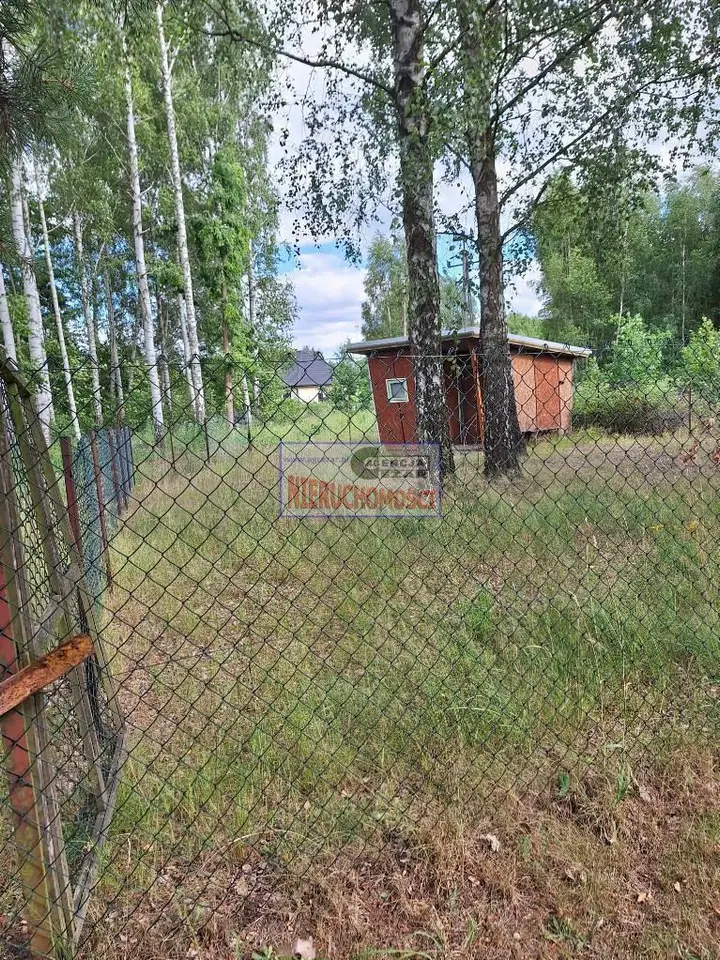 Zdjęcie 8