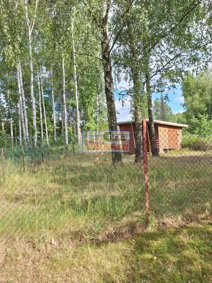 Zdjęcie 9
