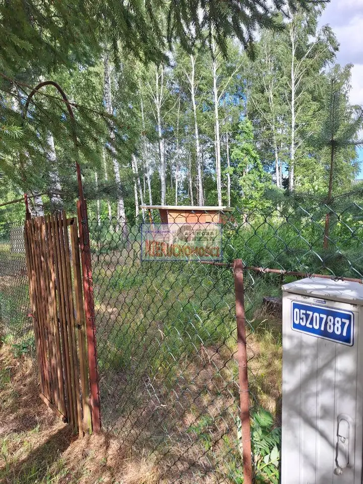 Zdjęcie 10
