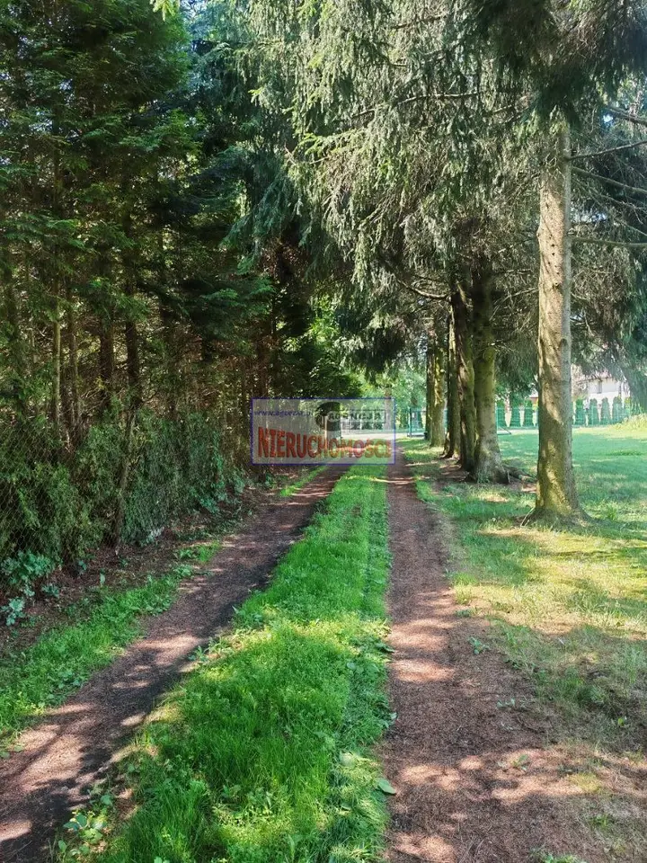 Zdjęcie 11