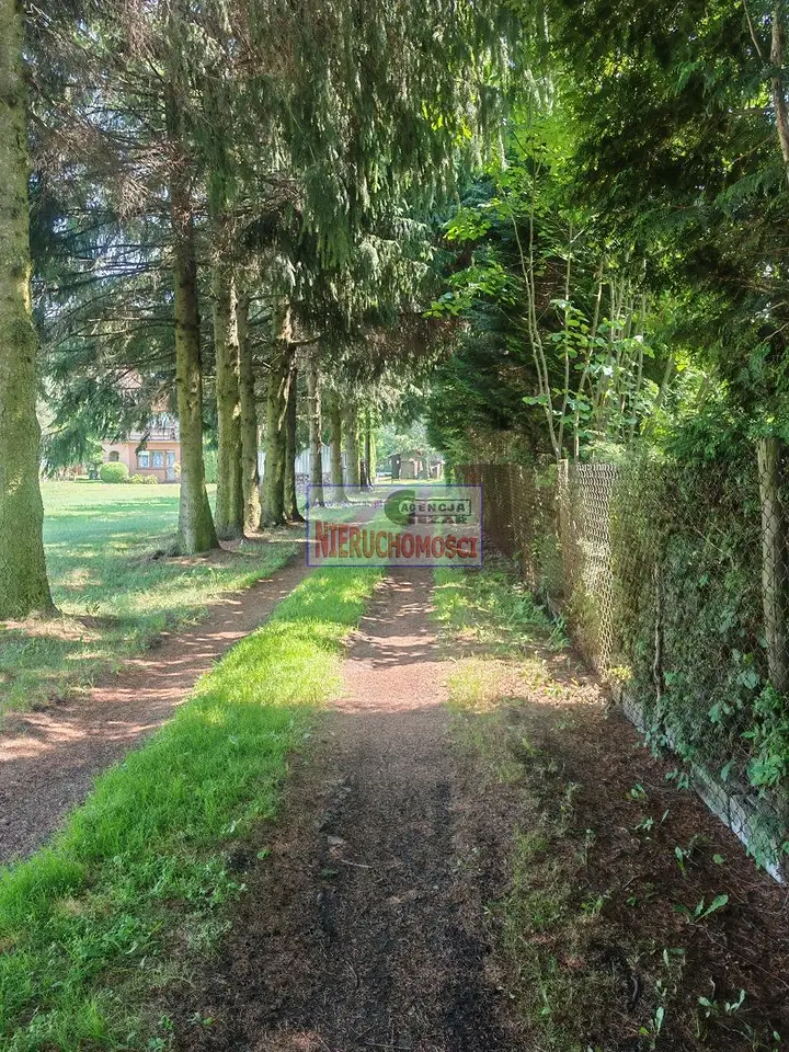 Zdjęcie 12
