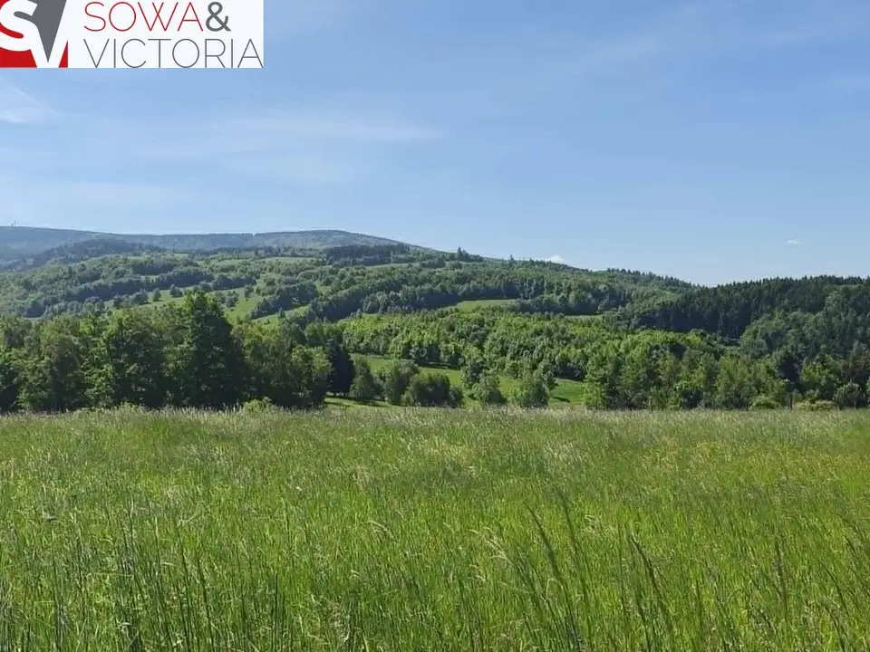 Działka budowlana 3 000 m², Michałkowa