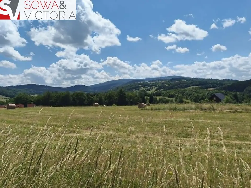 Zdjęcie 14