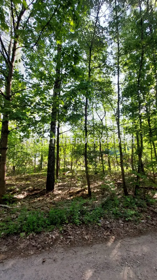 Działka budowlana 979 m², Jedlicze B