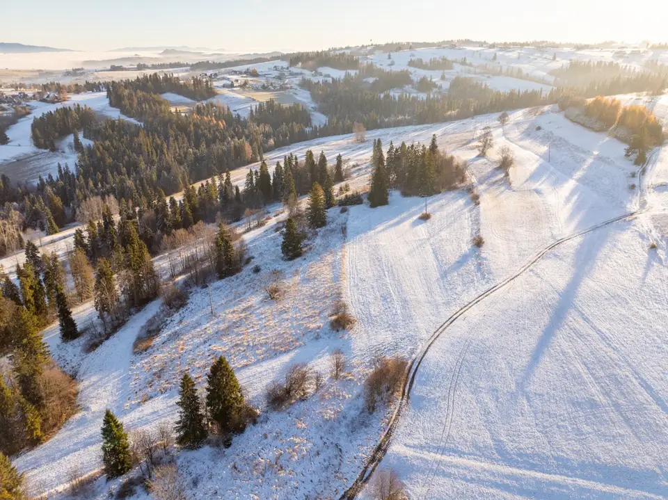 Działka rolna 3 753 m², Szaflary