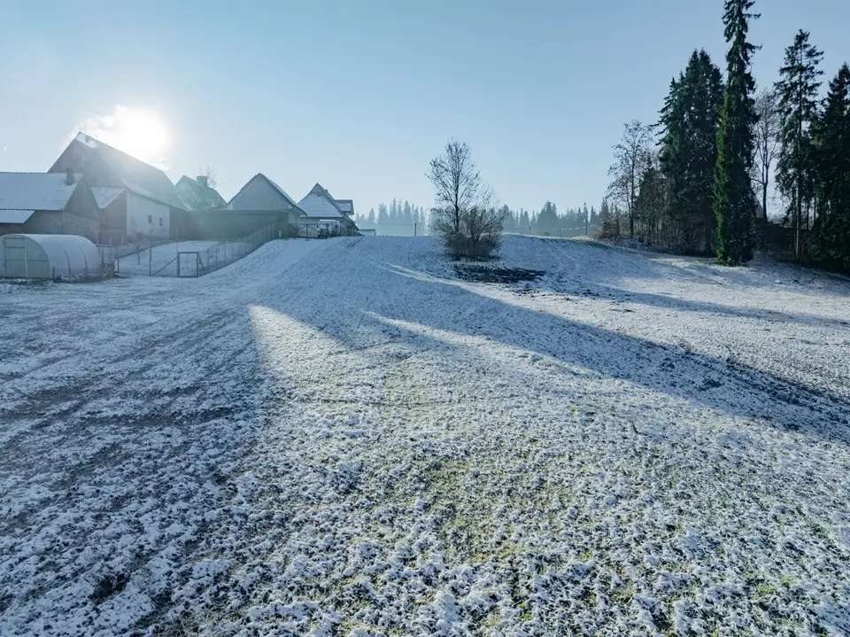 Zdjęcie 14