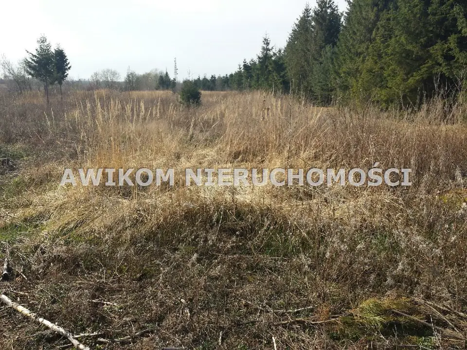 Działka rolna 2,02 ha, Szeligi