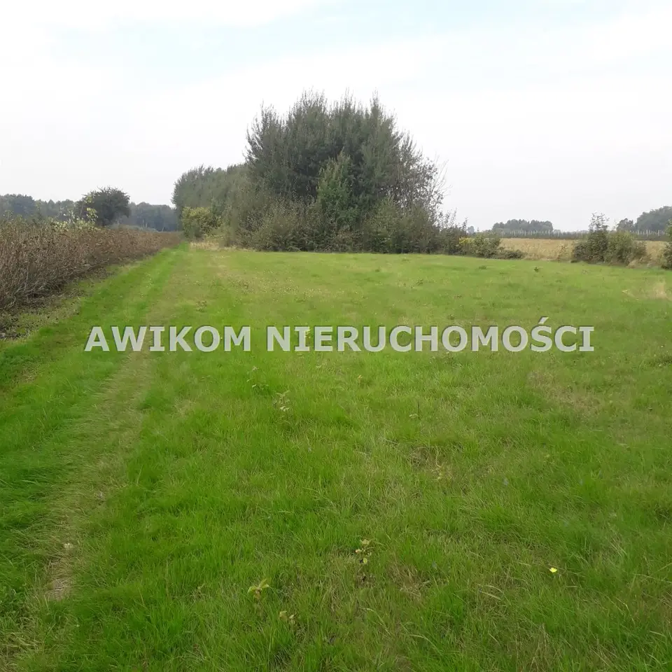 Zdjęcie 5