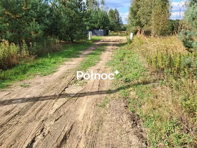 Zdjęcie 2