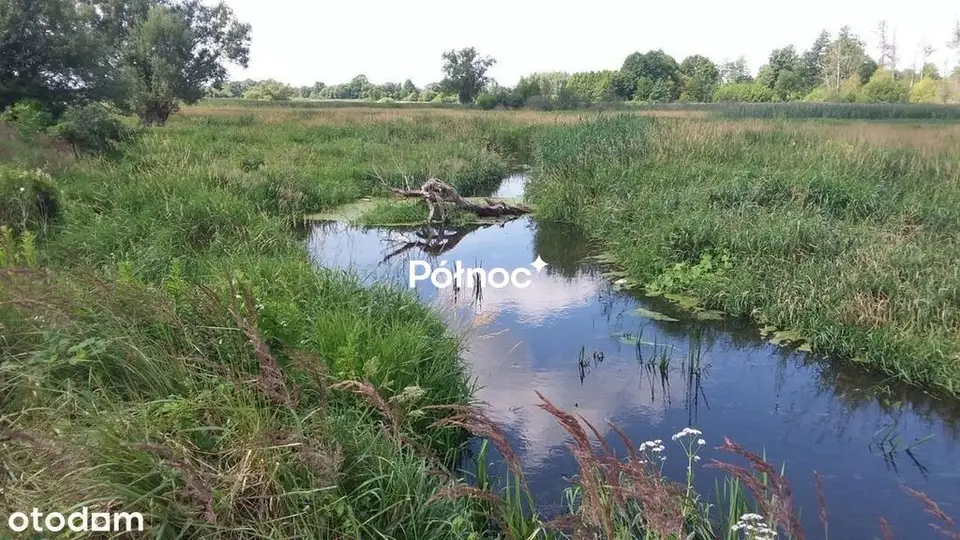 Zdjęcie 3