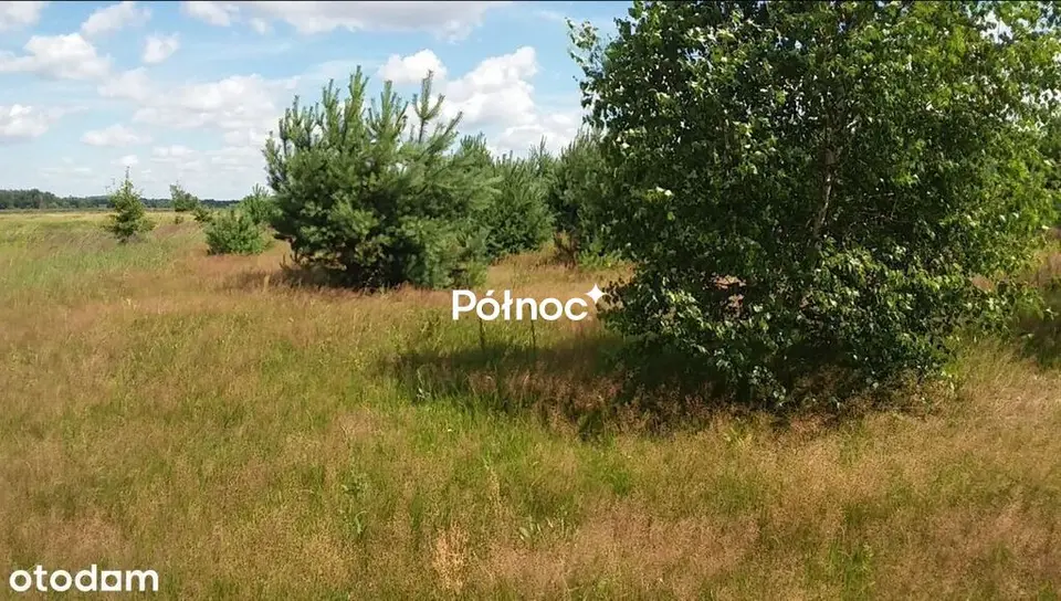 Zdjęcie 6