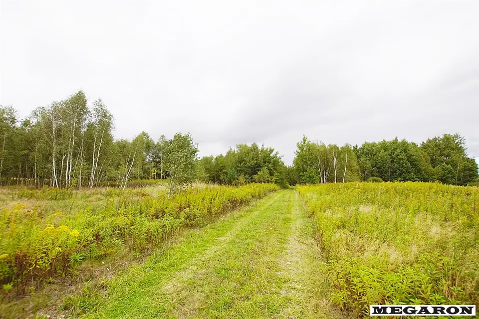 Działka inwestycyjna 3 381 m², Wola Mokrzeska