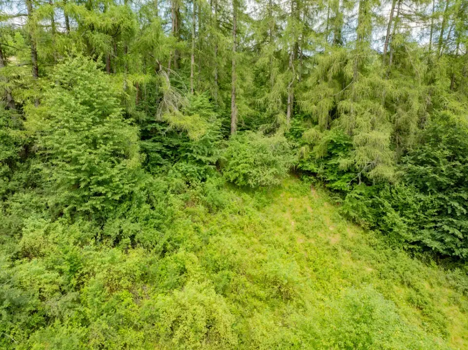Zdjęcie 15