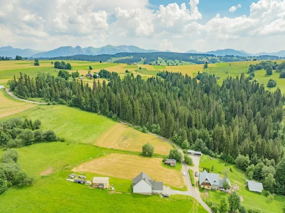 Zdjęcie 16