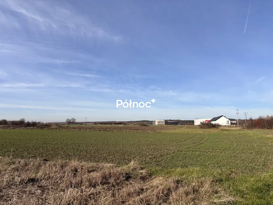 Zdjęcie 5
